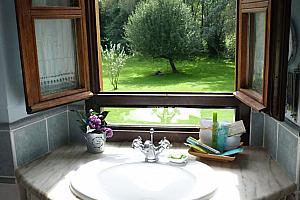 Bathroom with garden view